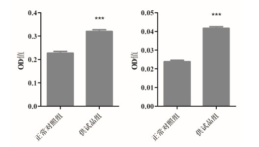 斑马鱼胰脂肪酶和胰蛋白酶OD值