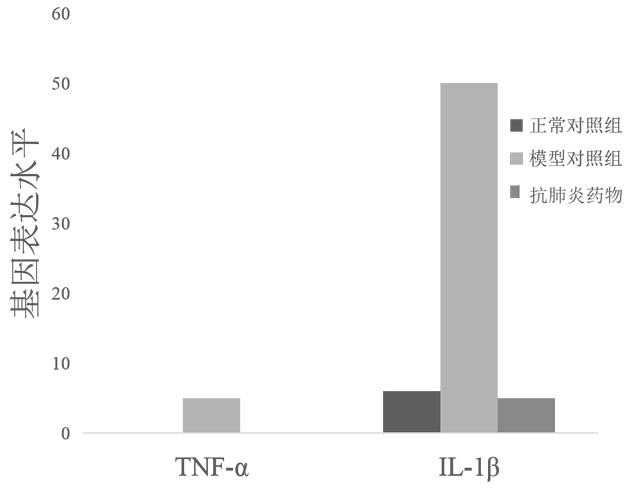 TNF-α、IL-1β基因表达水平