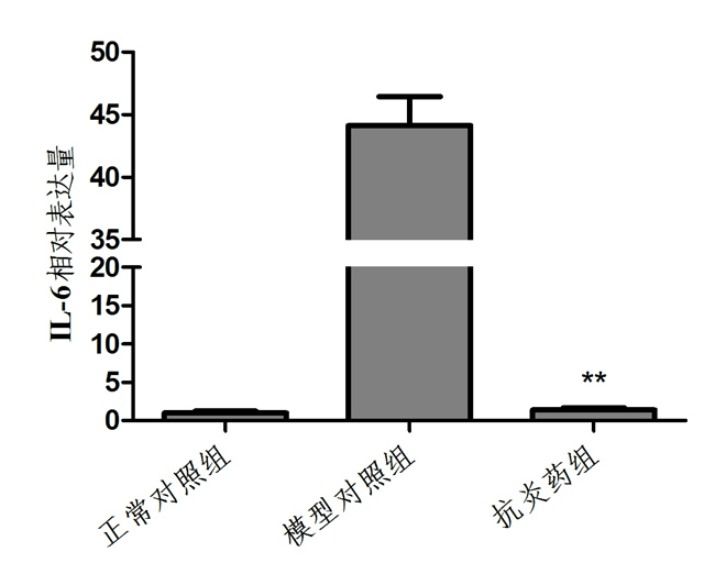 斑马鱼IL-6基因相对表达量