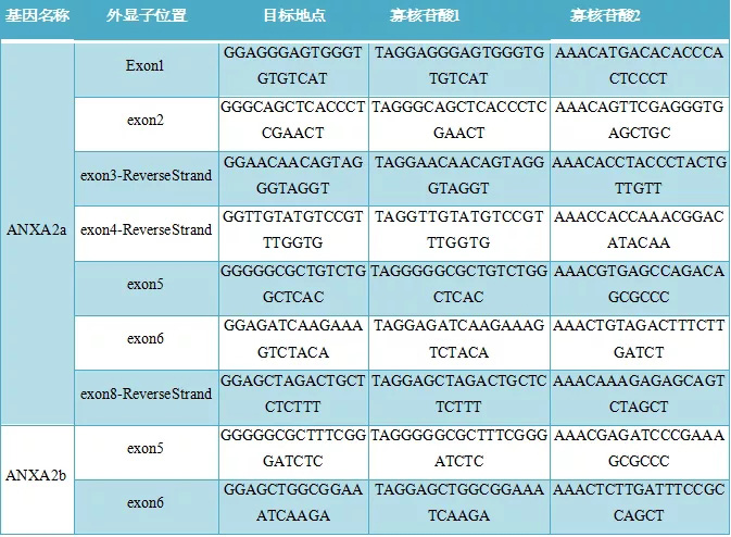 基因特异性CRISPR靶点及其正向和反向寡核苷酸序列列表