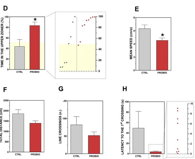 斑马鱼模型研究益生菌降低焦虑相关行为的实验过程与结果