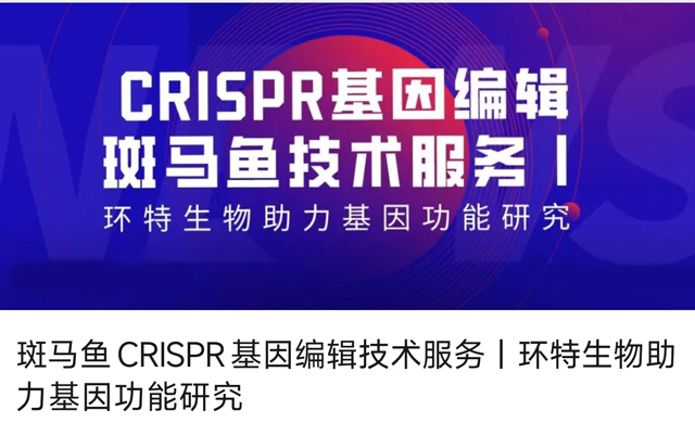 斑马鱼CRISPR基因编辑技术服务丨环特生物助力基因功能研究