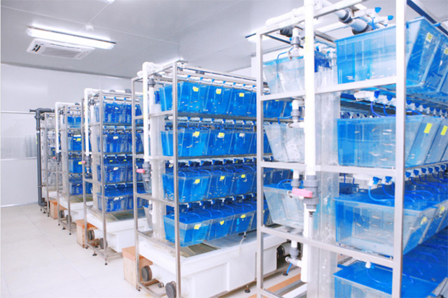斑马鱼实验室建设丨环特生物如何助力高质量斑马鱼实验室建设先人一步？