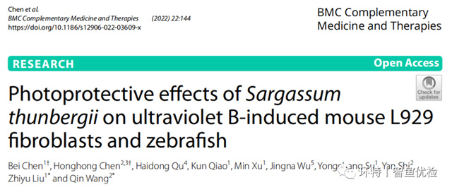 斑马鱼研究丨通过L929细胞与斑马鱼模型评价马尾藻对紫外线B诱导光损伤的保护作用
