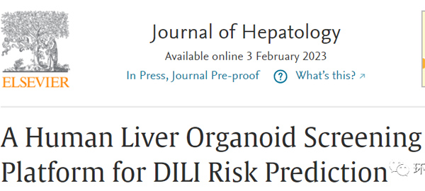 肝脏相关研究顶刊J Hepatol（IF>30）：肝脏类器官平台可预测药物性肝损伤
