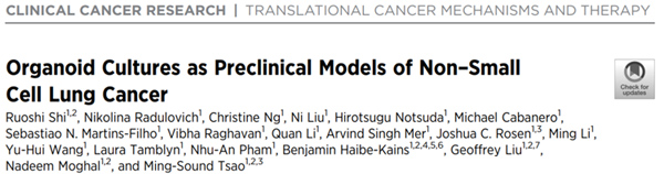 Clin Cancer Res（IF>10）：类器官——非小细胞肺癌的临床前模型