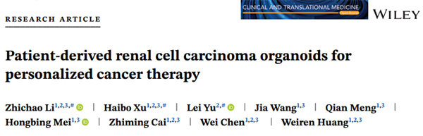 IF > 10：肾细胞癌类器官用于个性化癌症治疗