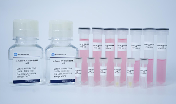 新品推荐｜o-Avatar-L™ hiPSC诱导分化肝类器官试剂盒上新！