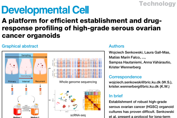 IF=11.8丨Developmental Cell：高效构建并进行药物应答分析的高级别浆液性卵巢癌类器官平台