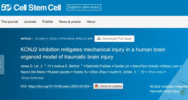 IF=23.9丨Cell Stem Cell：脑类器官揭示创伤性脑损伤的分子机制